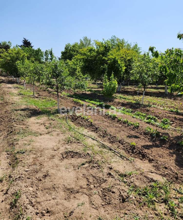 Sale, land, 52 ar, Baku, Khazar r.