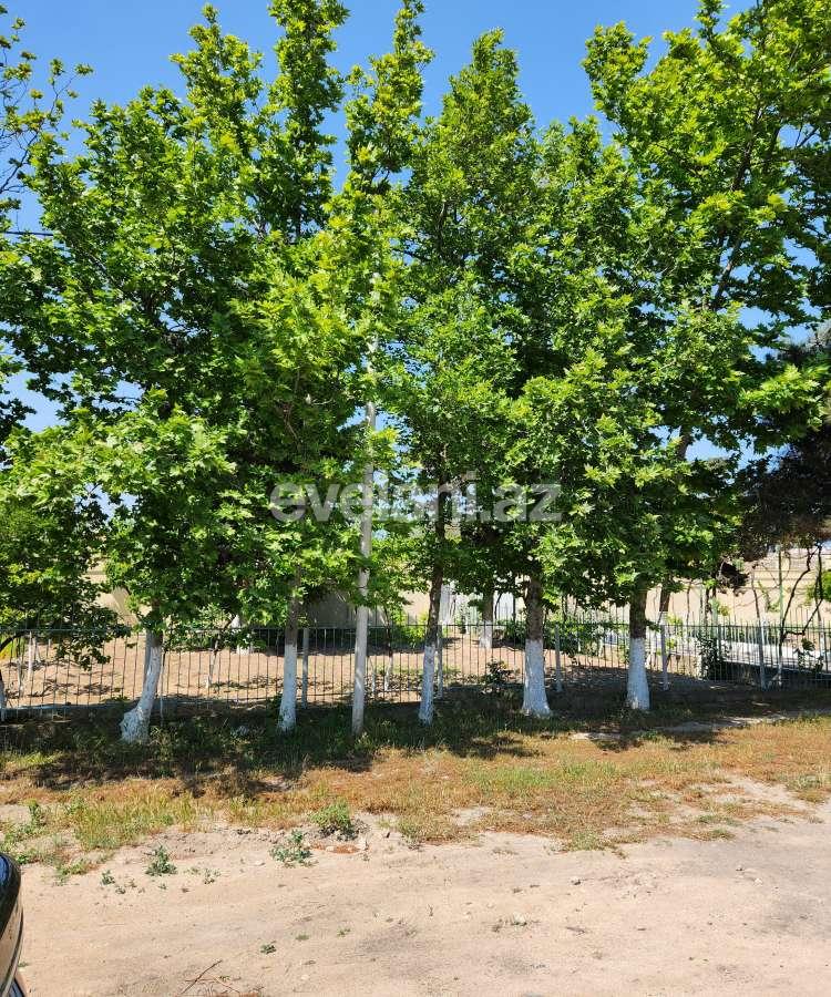 Sale, land, 52 ar, Baku, Khazar r.