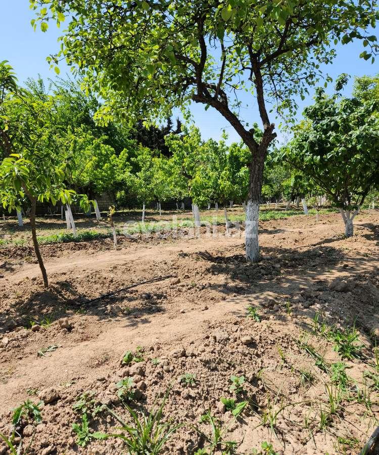 Sale, land, 52 ar, Baku, Khazar r.