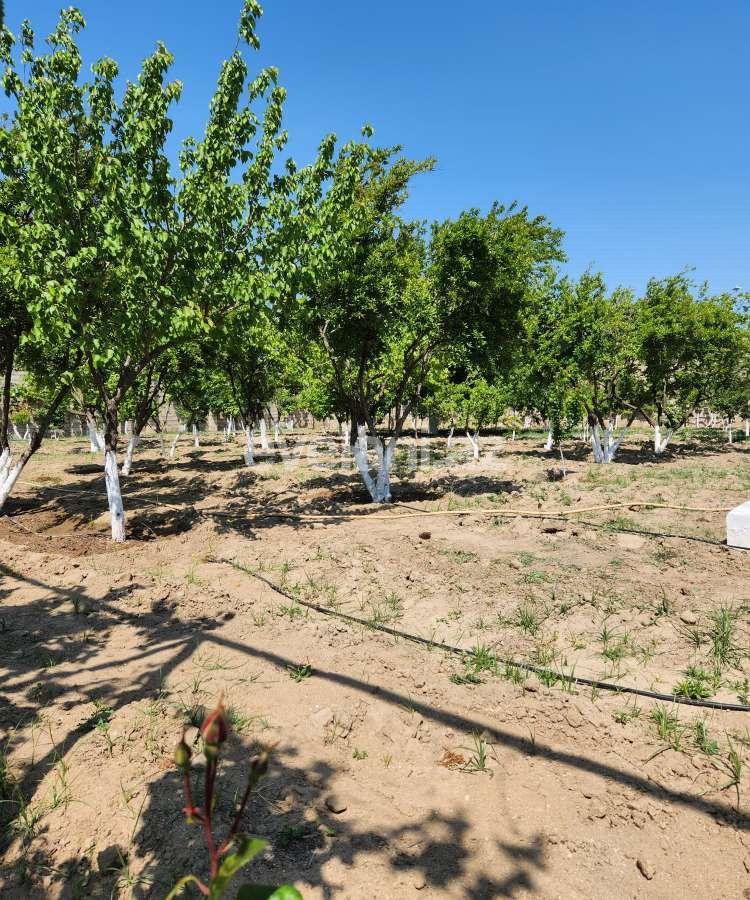 Sale, land, 52 ar, Baku, Khazar r.