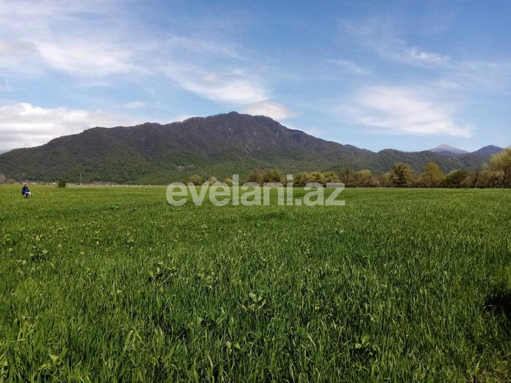 Satılır, torpaq, 50 sot, İsmayıllı
