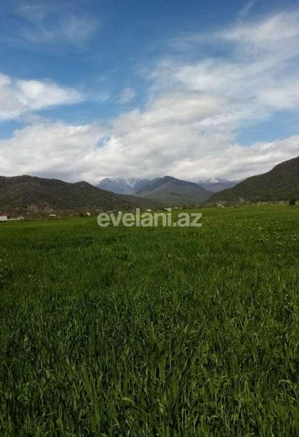 Satılır, torpaq, 50 sot, İsmayıllı