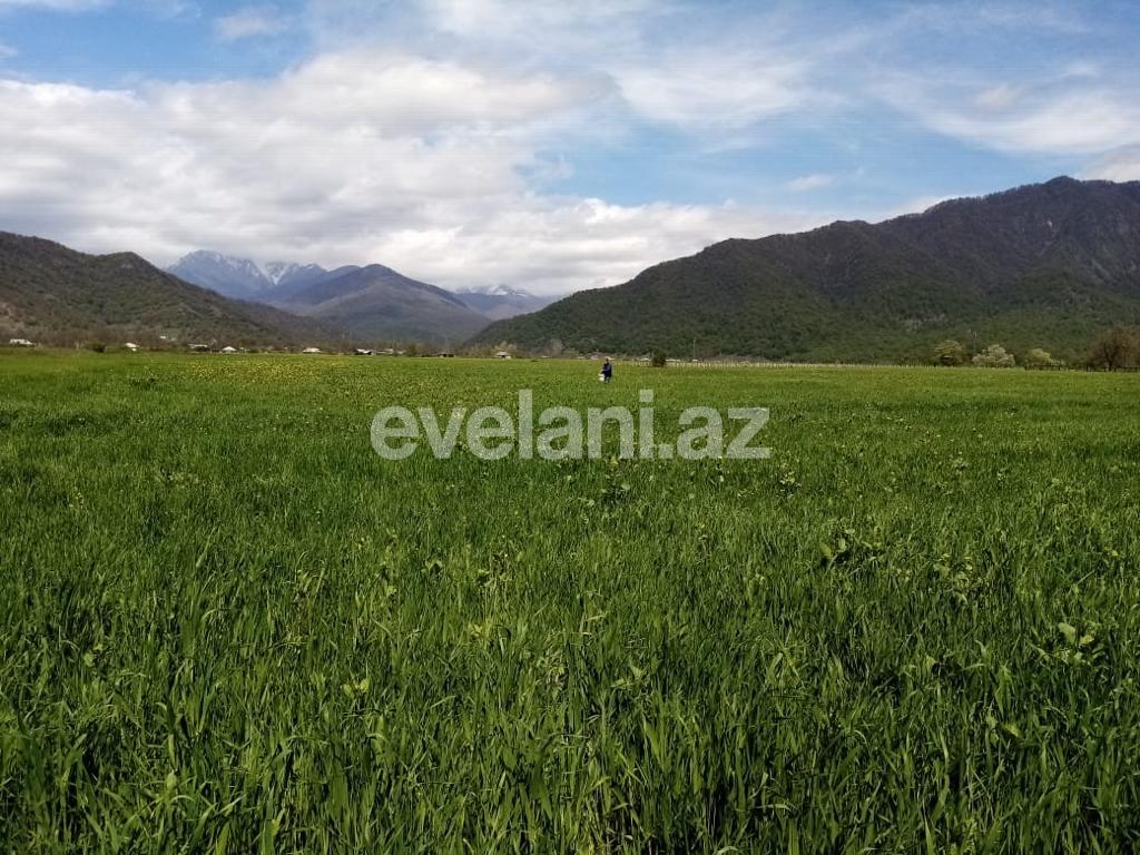 Satılır, torpaq, 50 sot, İsmayıllı