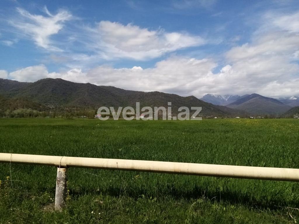 Satılır, torpaq, 50 sot, İsmayıllı