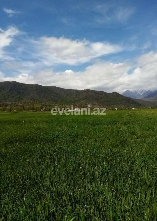 Satılır, torpaq, 50 sot, İsmayıllı