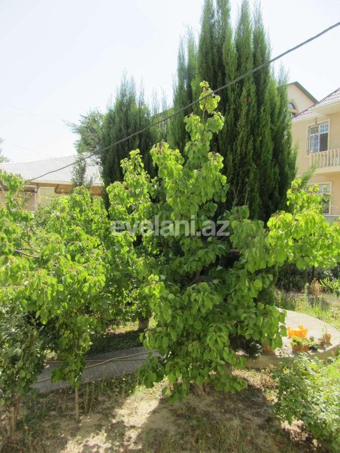 Satılır, həyət evi / bağ, 6 otaqlı, 250 m², Bakı, Binəqədi r, M. Rəsulzadə q, Azadlıq prospekti m.