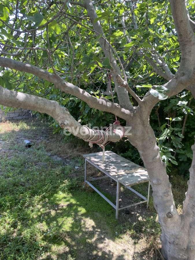 Satılır, həyət evi / bağ, 6 otaqlı, 200 m², Bakı, Suraxanı r, Zığ q, Həzi Aslanov m.