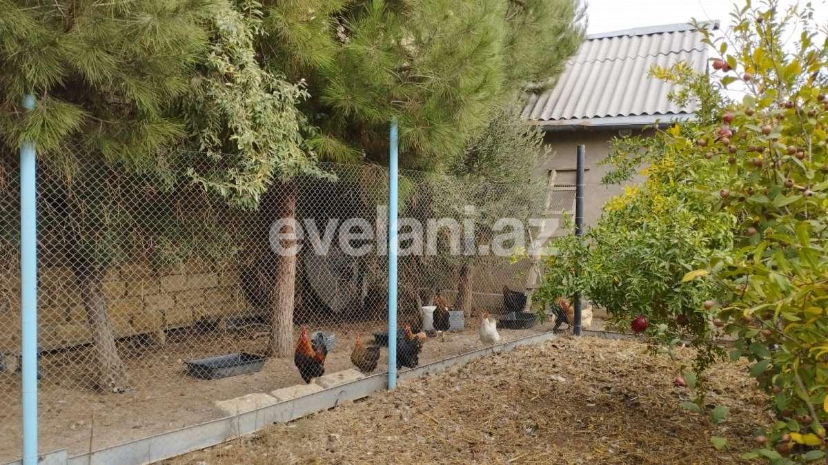 Satılır, həyət evi / bağ, 5 otaqlı, 141 m², Bakı, Abşeron r, Saray q.