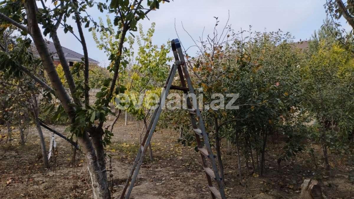 Satılır, həyət evi / bağ, 5 otaqlı, 141 m², Bakı, Abşeron r, Saray q.