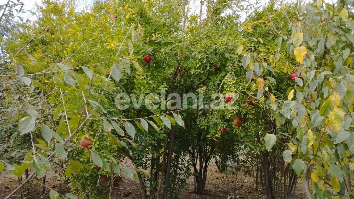 Satılır, həyət evi / bağ, 5 otaqlı, 141 m², Bakı, Abşeron r, Saray q.