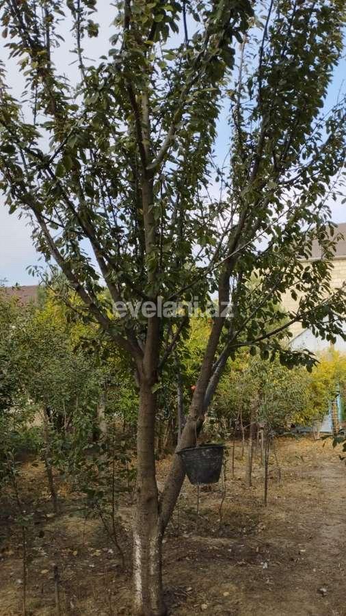 Satılır, həyət evi / bağ, 5 otaqlı, 141 m², Bakı, Abşeron r, Saray q.