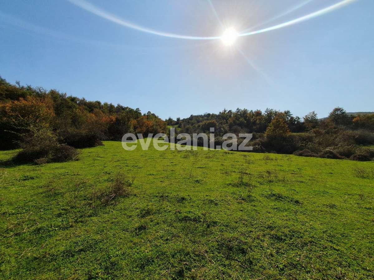 Satılır, torpaq, 200 sot, Lerik