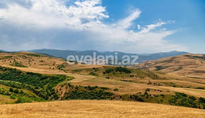 Satılır, torpaq, 200 sot, Lerik