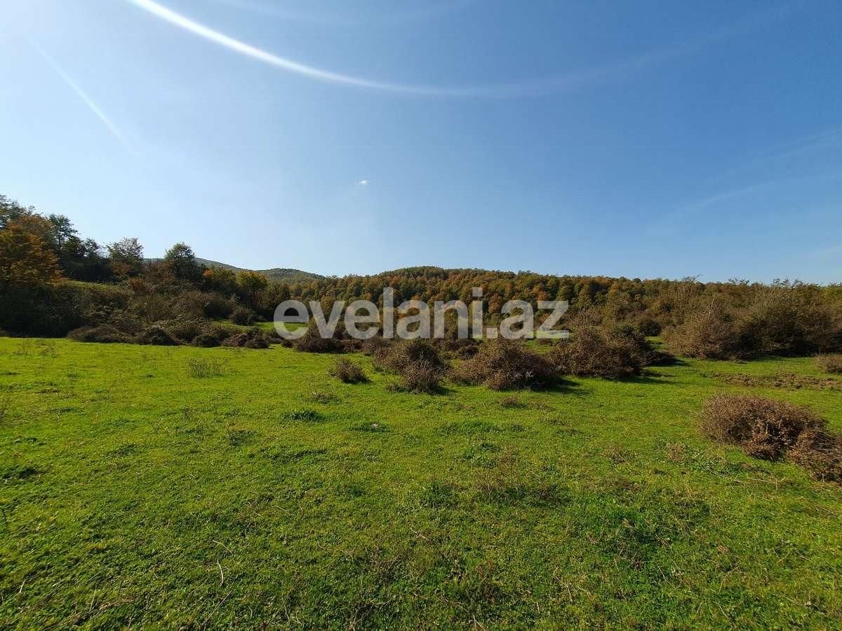 Satılır, torpaq, 200 sot, Lerik