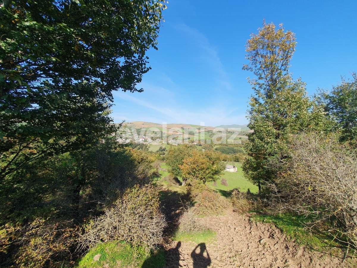 Satılır, torpaq, 200 sot, Lerik