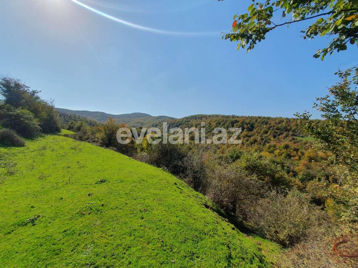 Satılır, torpaq, 200 sot, Lerik