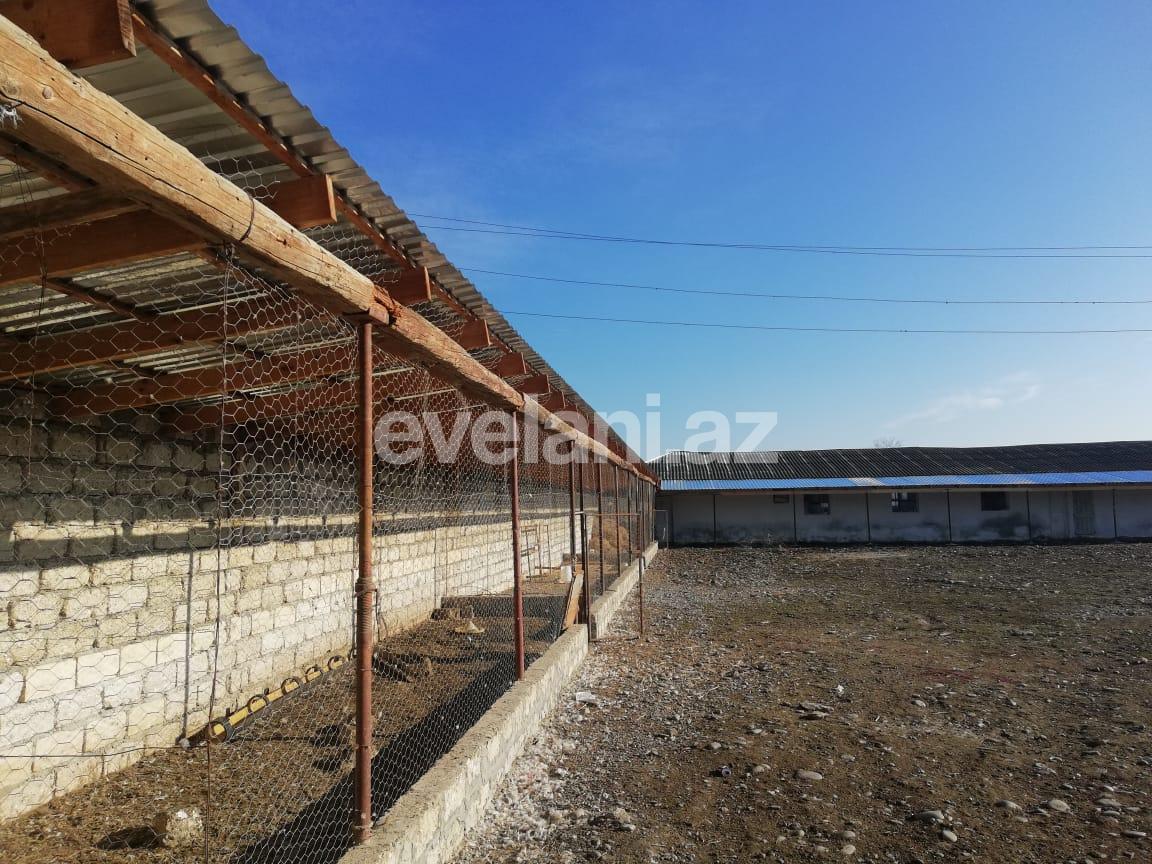 Satılır, obyekt, 4200 m², Xudat