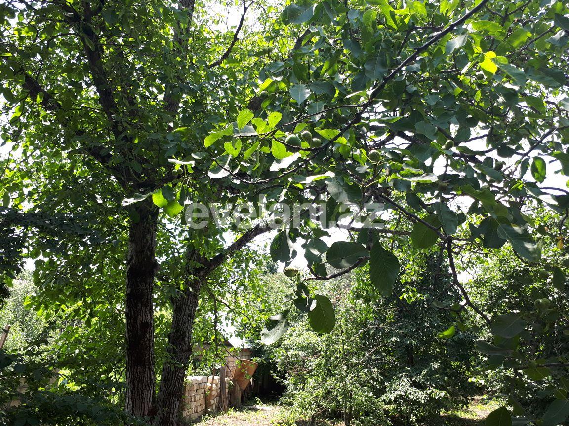 Satılır, həyət evi / bağ, 4 otaqlı, 70 m², Quba