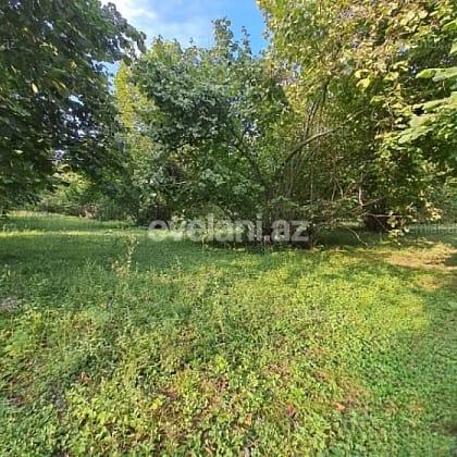 Satılır, torpaq, 6 sot, Qəbələ