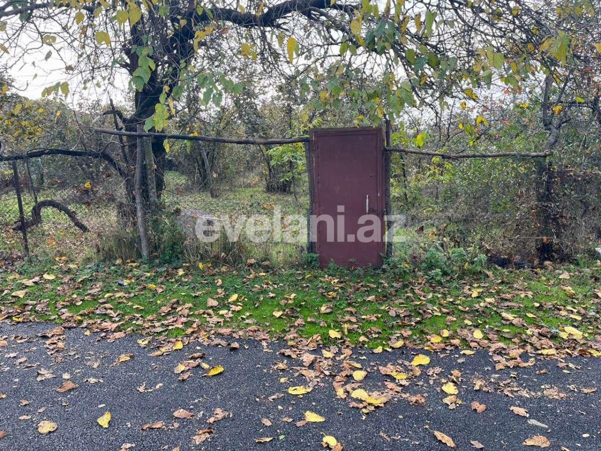 Satılır, torpaq, 6 sot, Qəbələ