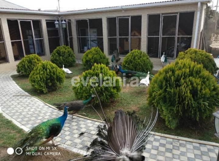 Satılır, həyət evi / bağ, 6 otaqlı, 250 m², Bakı, Abşeron r, Novxanı q.