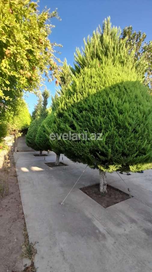 Sale, garden / house, 6 room, 600 m², Baku, Khazar r, Buzovna d.