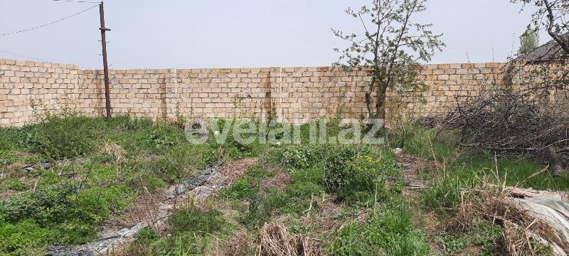 Satılır, torpaq, 8 sot, Quba