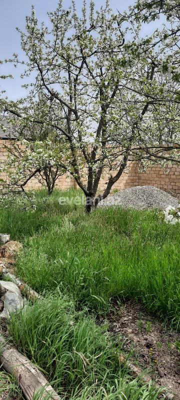 Satılır, torpaq, 8 sot, Quba