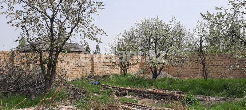 Satılır, torpaq, 8 sot, Quba
