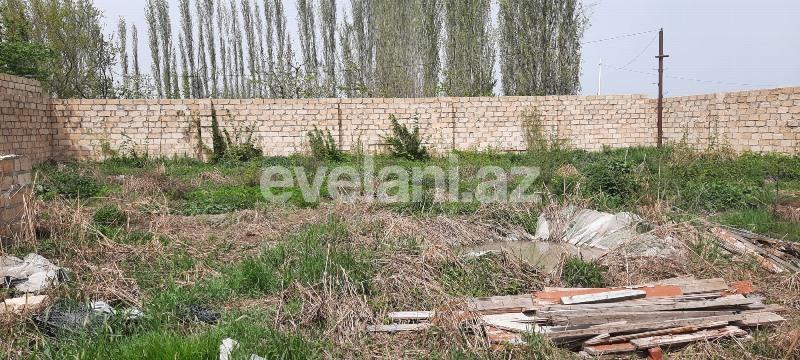 Satılır, torpaq, 8 sot, Quba