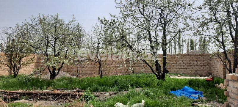 Satılır, torpaq, 8 sot, Quba
