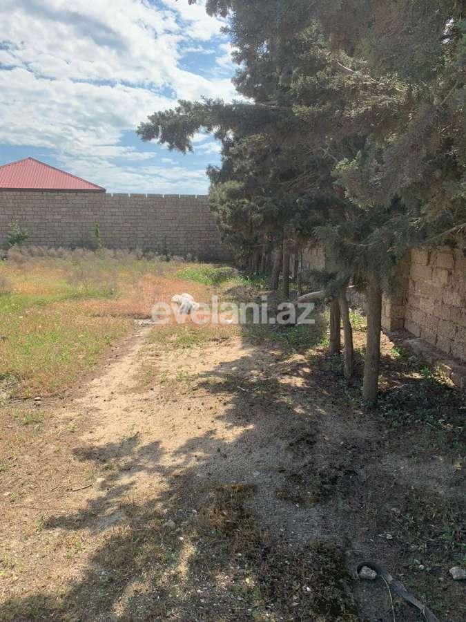 Satılır, torpaq, 6 sot, Bakı, Xəzər r, Buzovna q.
