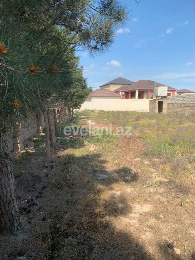 Satılır, torpaq, 6 sot, Bakı, Xəzər r, Buzovna q.