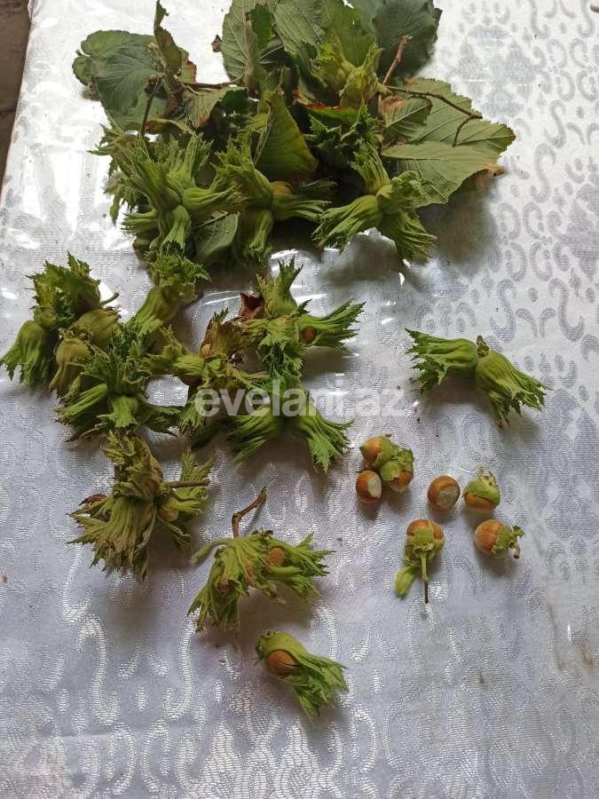 Продаётся, дом / дача, 3-комнаты, 100 m², Гянджа