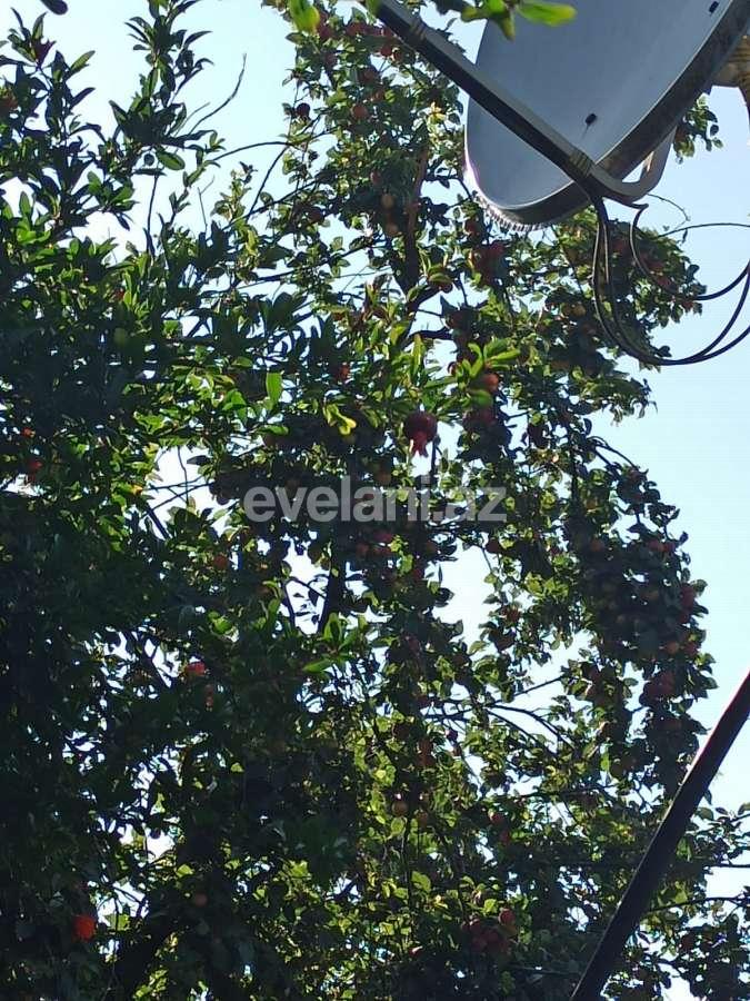 Продаётся, дом / дача, 3-комнаты, 100 m², Гянджа