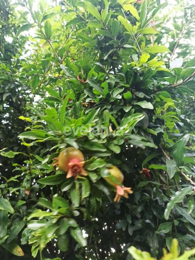 Продаётся, дом / дача, 3-комнаты, 100 m², Гянджа