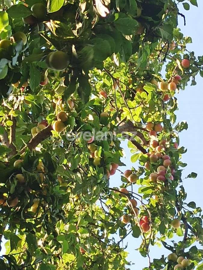 Продаётся, дом / дача, 3-комнаты, 100 m², Гянджа