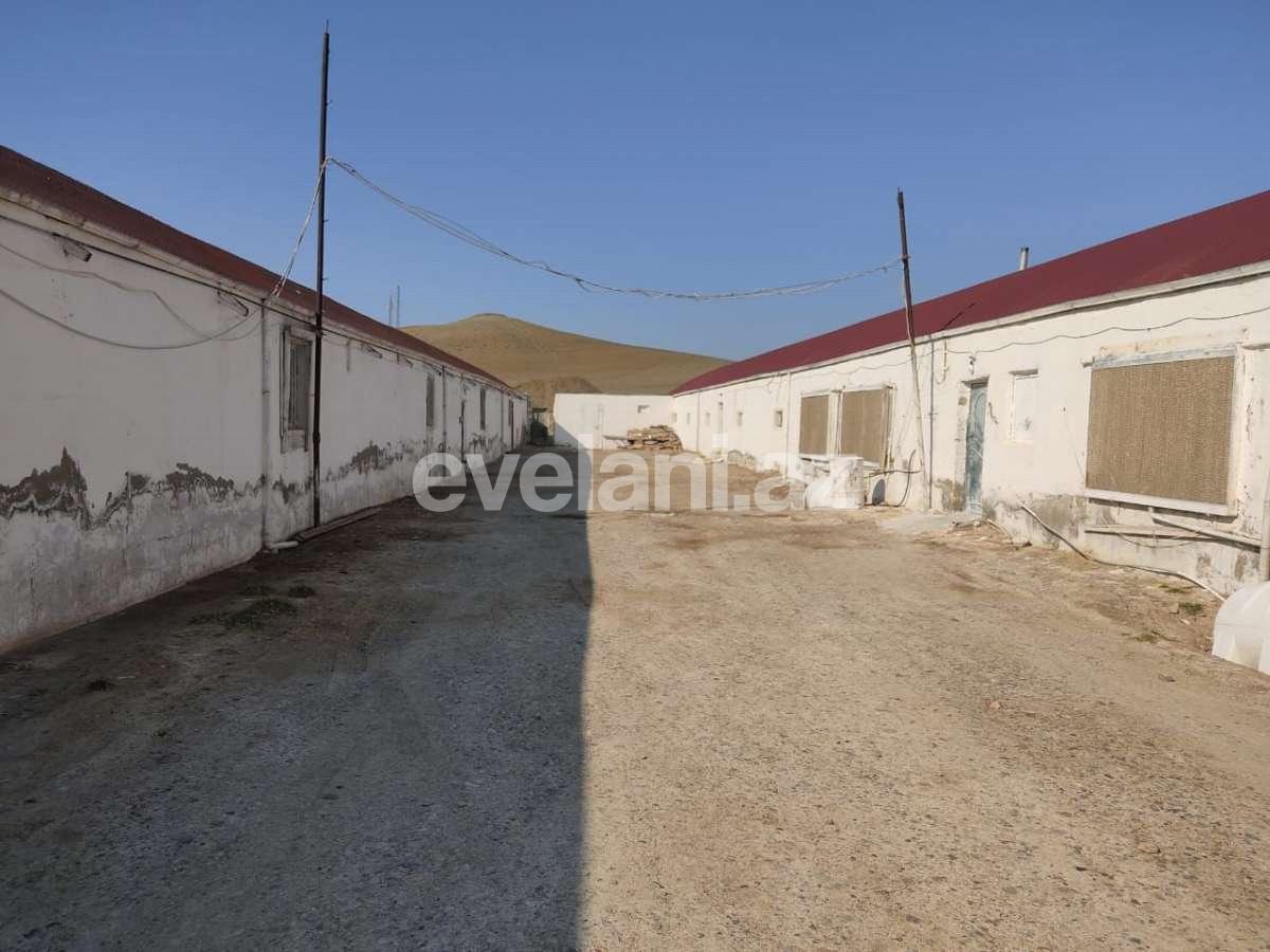 Satılır, torpaq, 400 sot, Bakı, Abşeron r, Pirəkəşkül q.