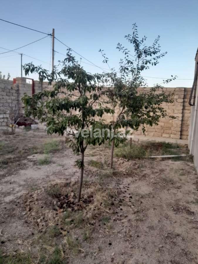 Sale, garden / house, 3 room, 90 m², Baku, Khazar r, Gala d.