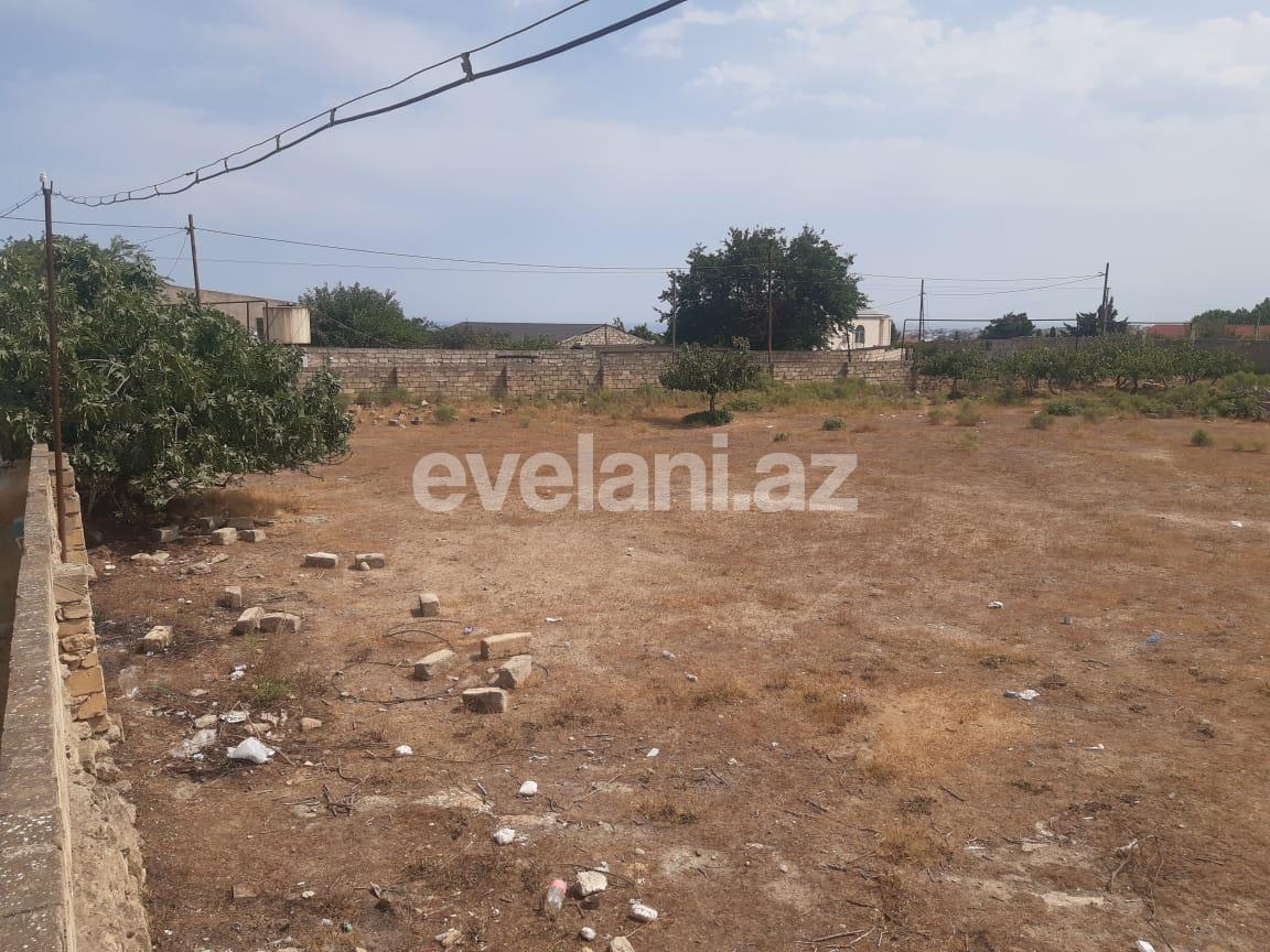 Satılır, torpaq, 900 sot, Bakı, Abşeron r, Məmmədli q.