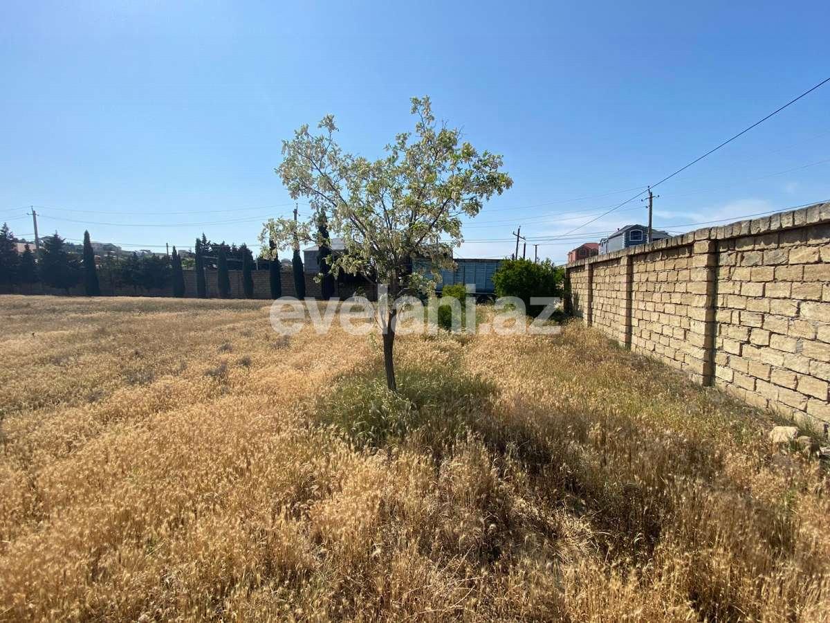 Satılır, torpaq, 900 sot, Bakı, Abşeron r, Məmmədli q.