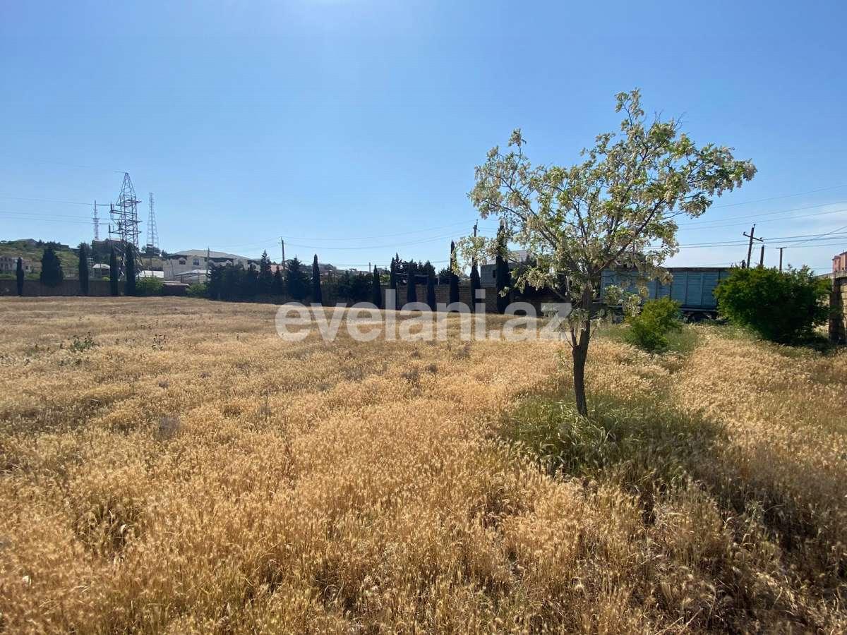 Satılır, torpaq, 900 sot, Bakı, Abşeron r, Məmmədli q.