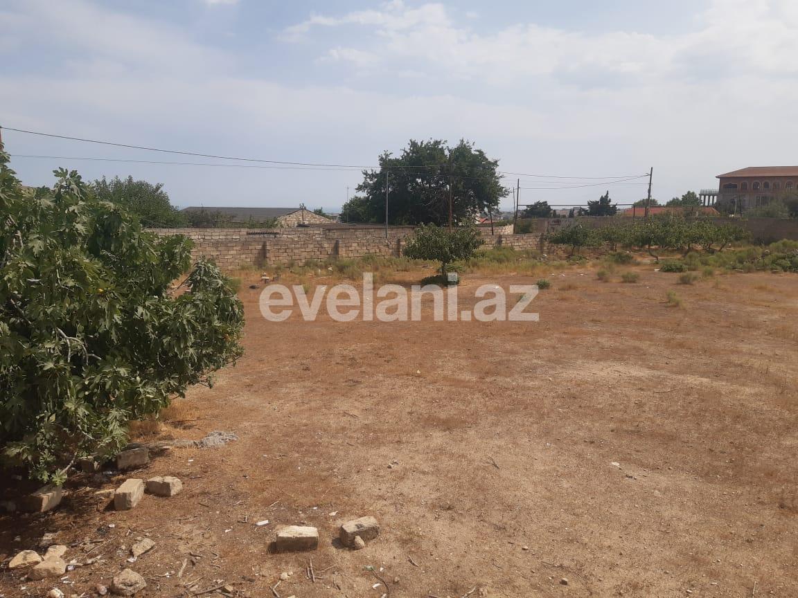 Satılır, torpaq, 900 sot, Bakı, Abşeron r, Məmmədli q.