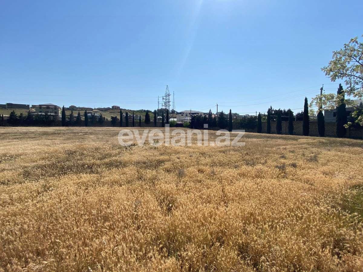 Satılır, torpaq, 900 sot, Bakı, Abşeron r, Məmmədli q.