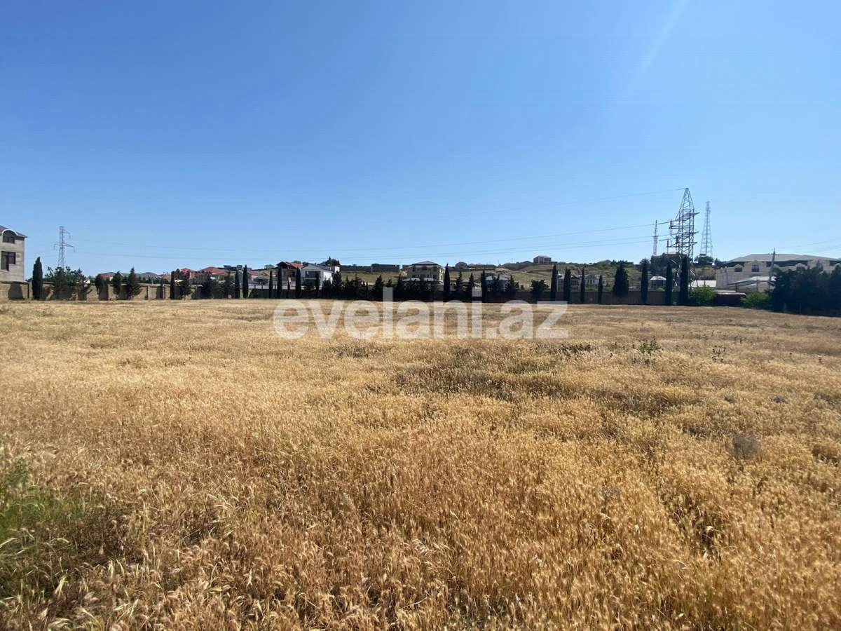 Satılır, torpaq, 900 sot, Bakı, Abşeron r, Məmmədli q.