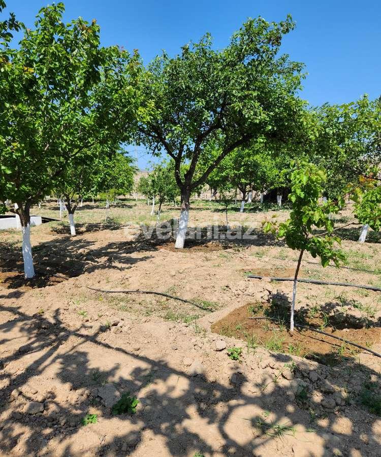 Sale, land, 52 ar, Baku, Khazar r, Buzovna d.