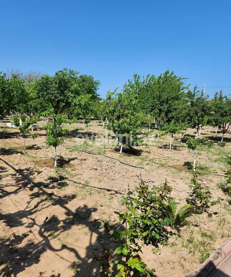 Sale, land, 52 ar, Baku, Khazar r, Buzovna d.