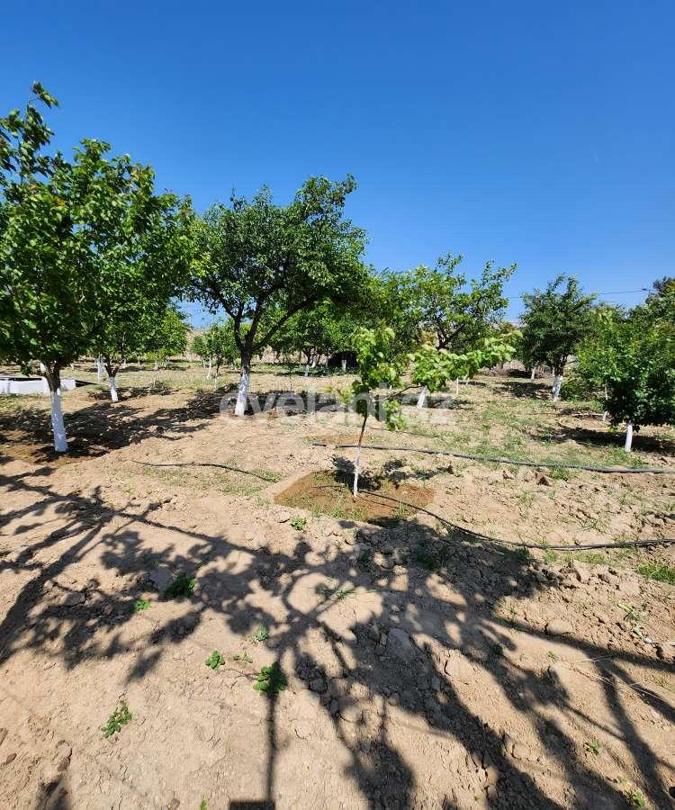 Sale, land, 52 ar, Baku, Khazar r, Buzovna d.