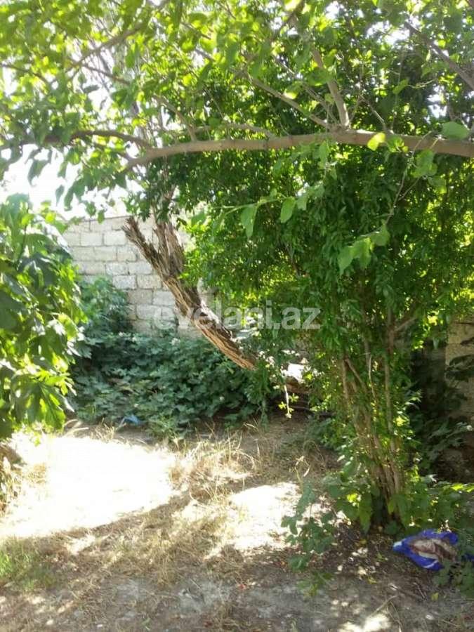 Sale, garden / house, 2 room, 90 m², Baku, Surakhani r, Yeni Surakhani d.