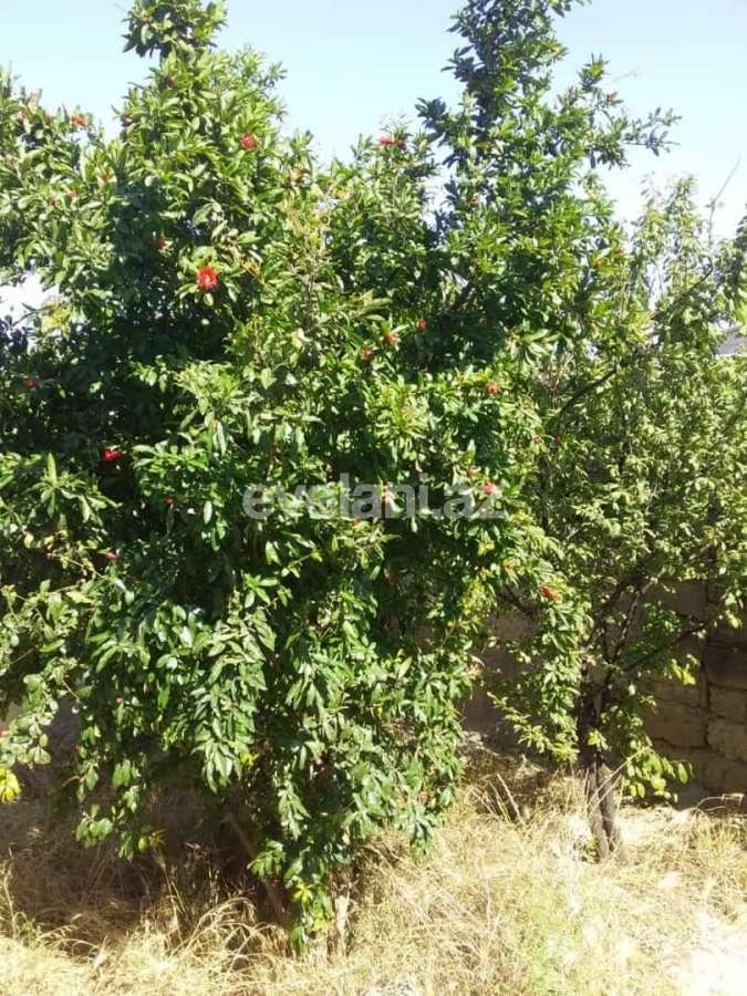 Sale, garden / house, 2 room, 90 m², Baku, Surakhani r, Yeni Surakhani d.